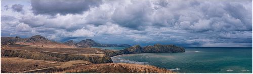 ...Хамелеон...