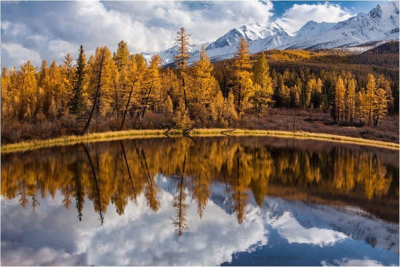 Свет мой, зеркальце... фото превью