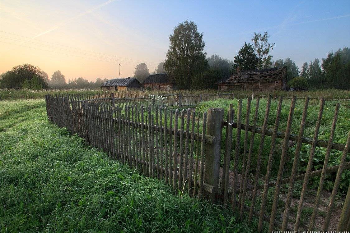 , Алексей Лобанов