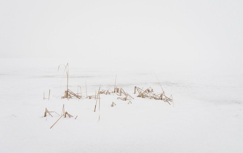 Зима, Лед, Природа, Снег, Туман, Хокку, Холод, Чб, Черно-белое, Япония Хокку фото превью