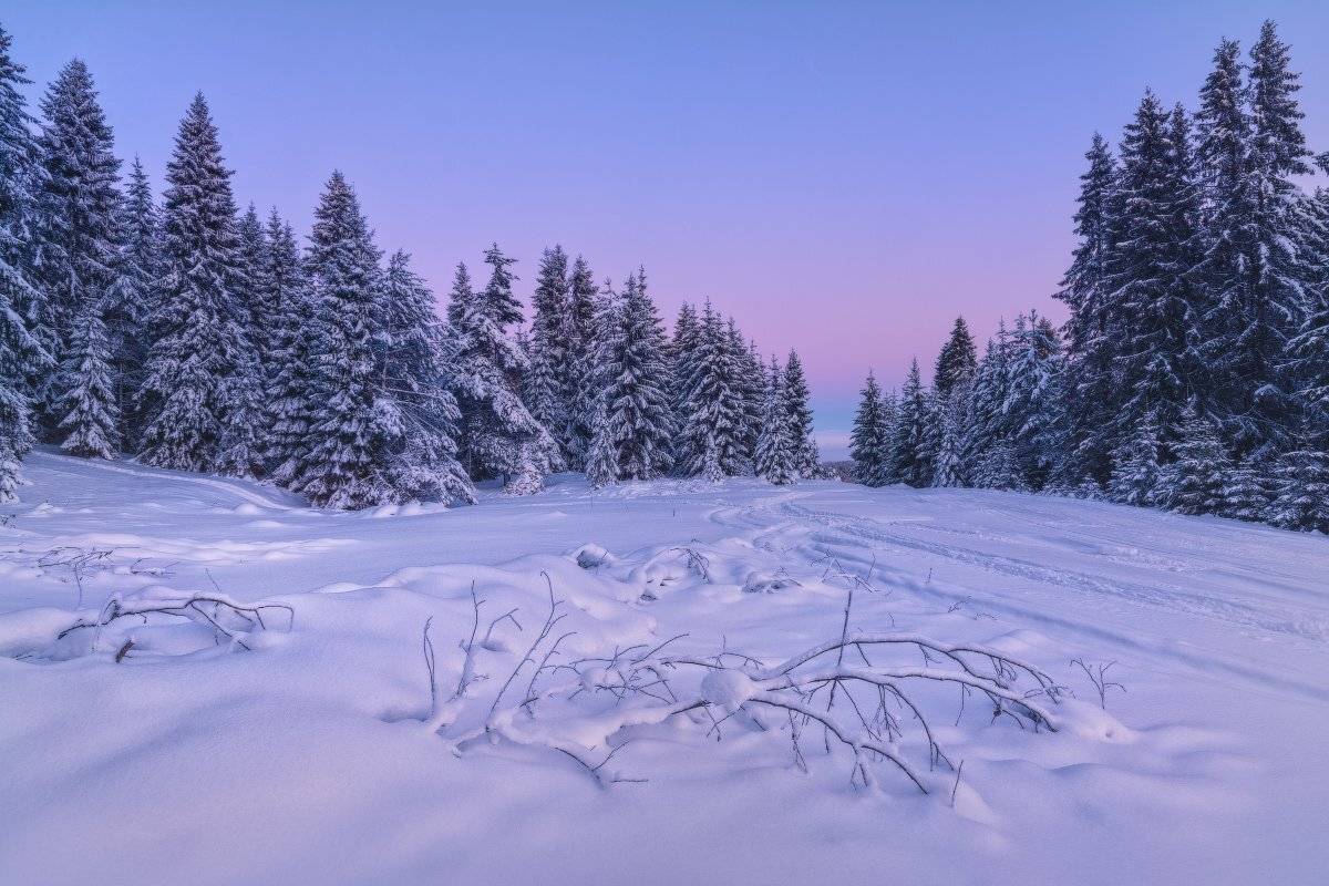 , Жмак Евгений