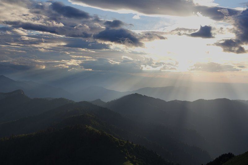 Последние лучи уходящего дня фото превью