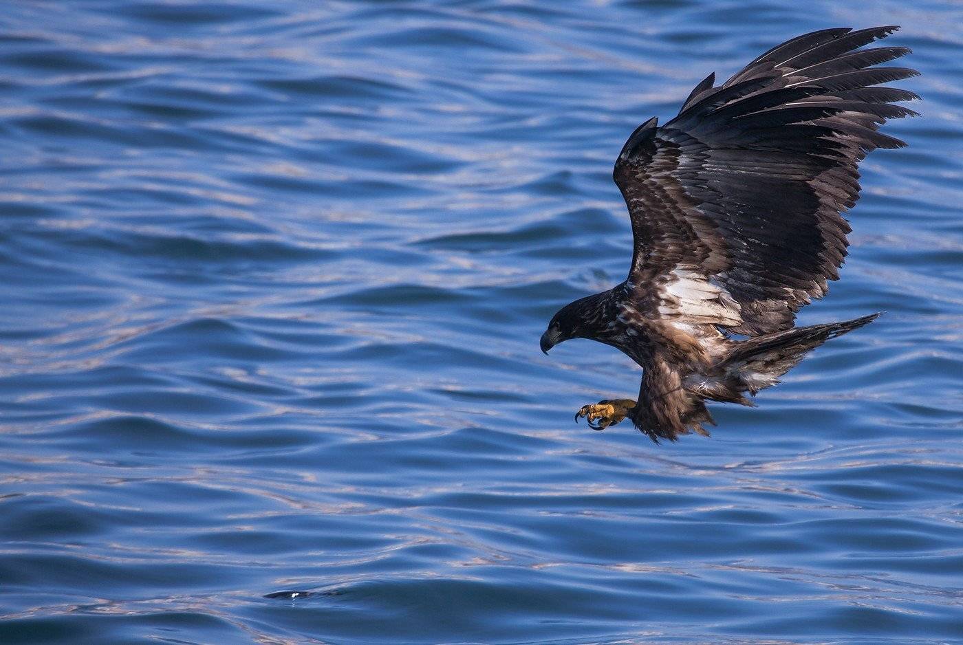 , Евгений Слободской