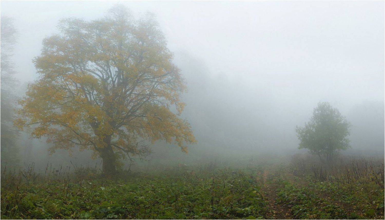 Осень, SergeySkorov