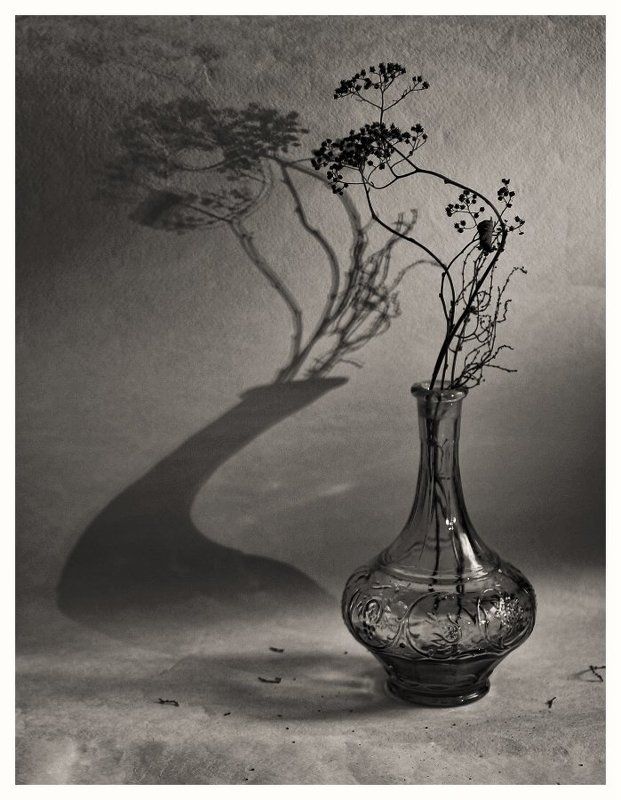 Тени фото превью