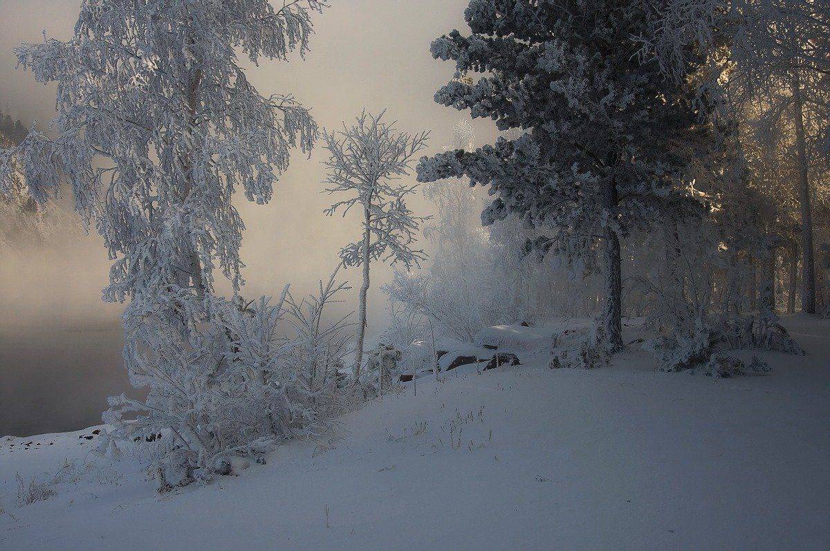 , Марина Фомина