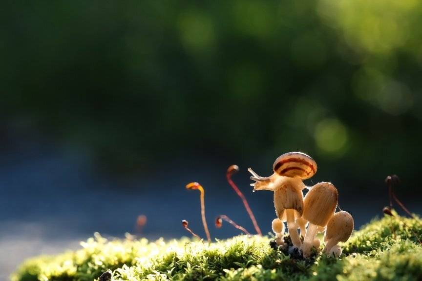 , Вячеслав Мищенко