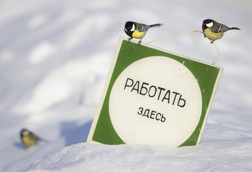 , Петрова Татьяна