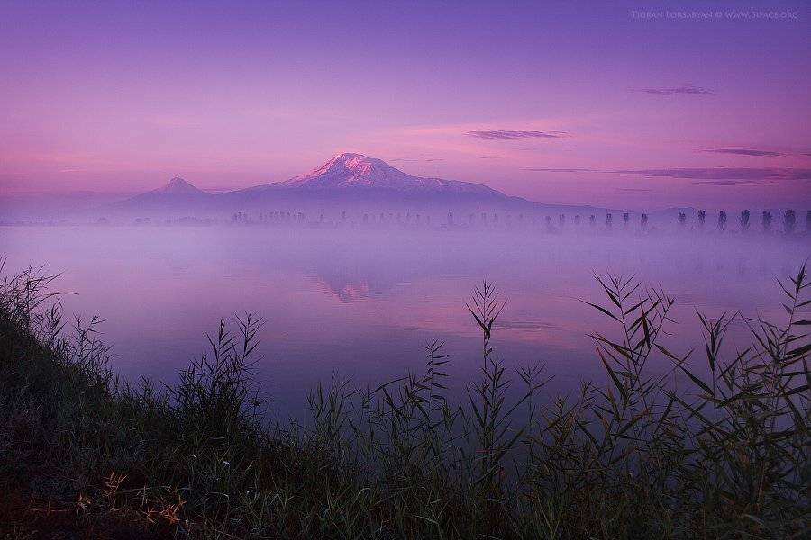 , Тигран Лорсабян