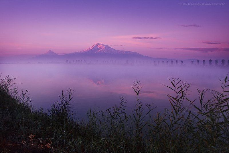 Ararat фото превью
