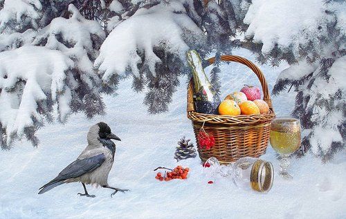 Любопытная ворона