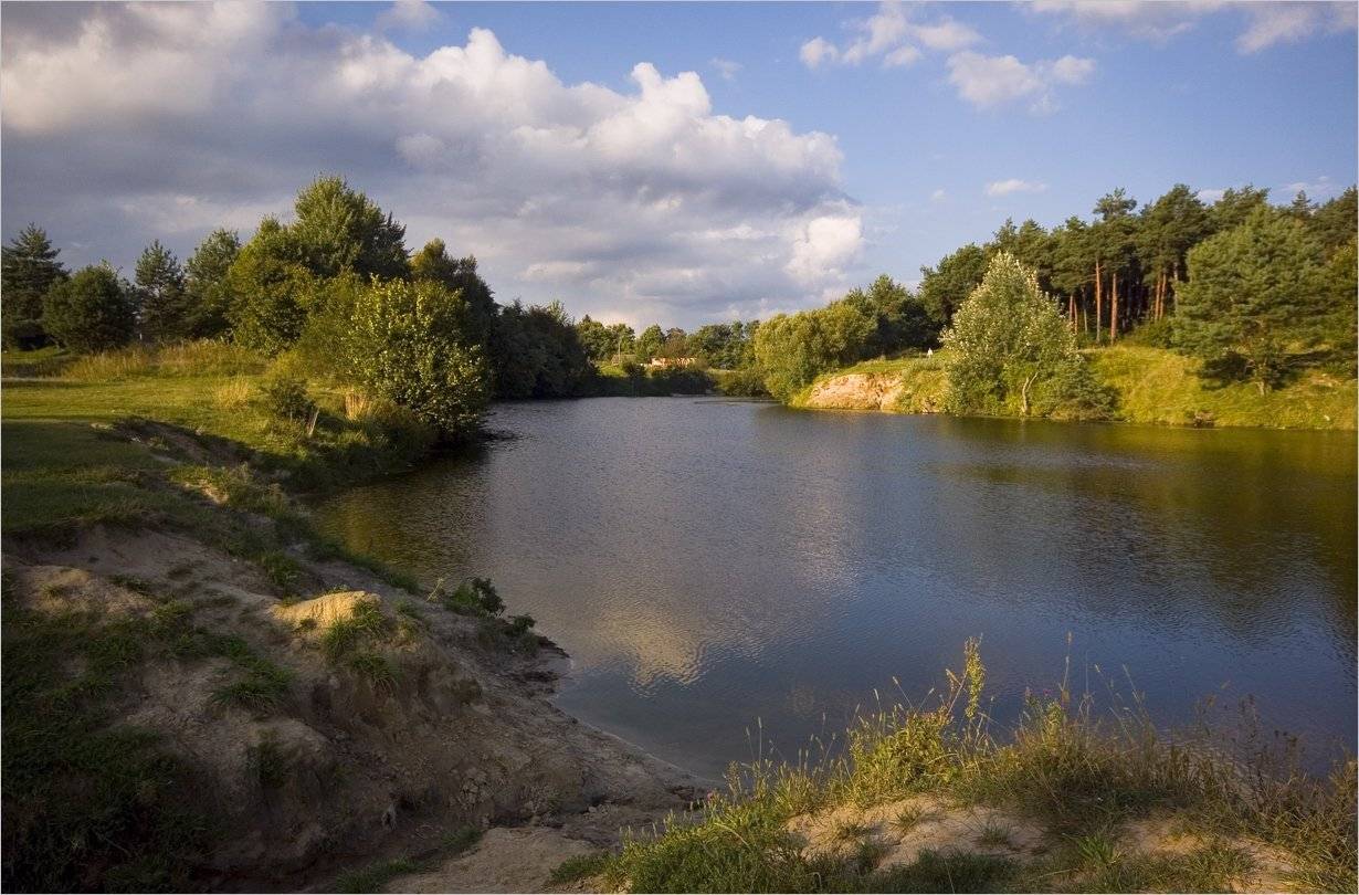 , Николай Шахманцир