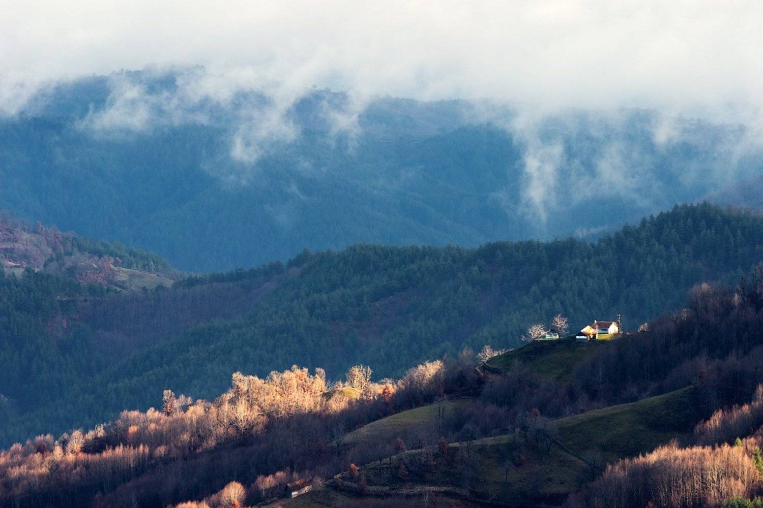 , Ирина Костова