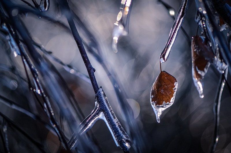 Ледниковый период фото превью