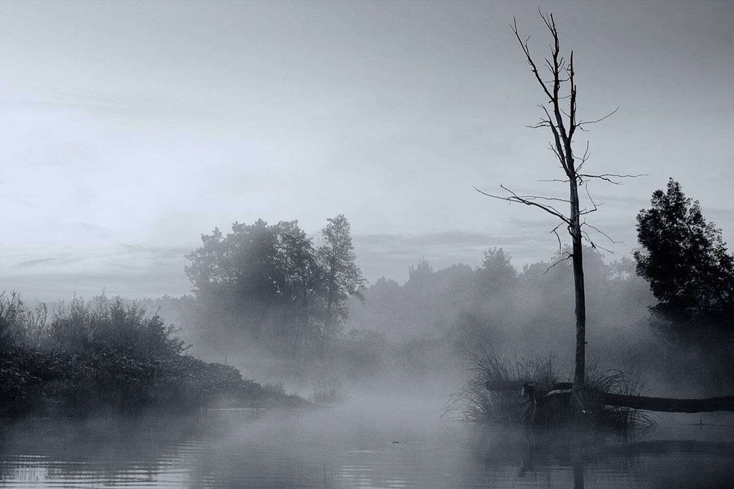 , Юрий Сорокин