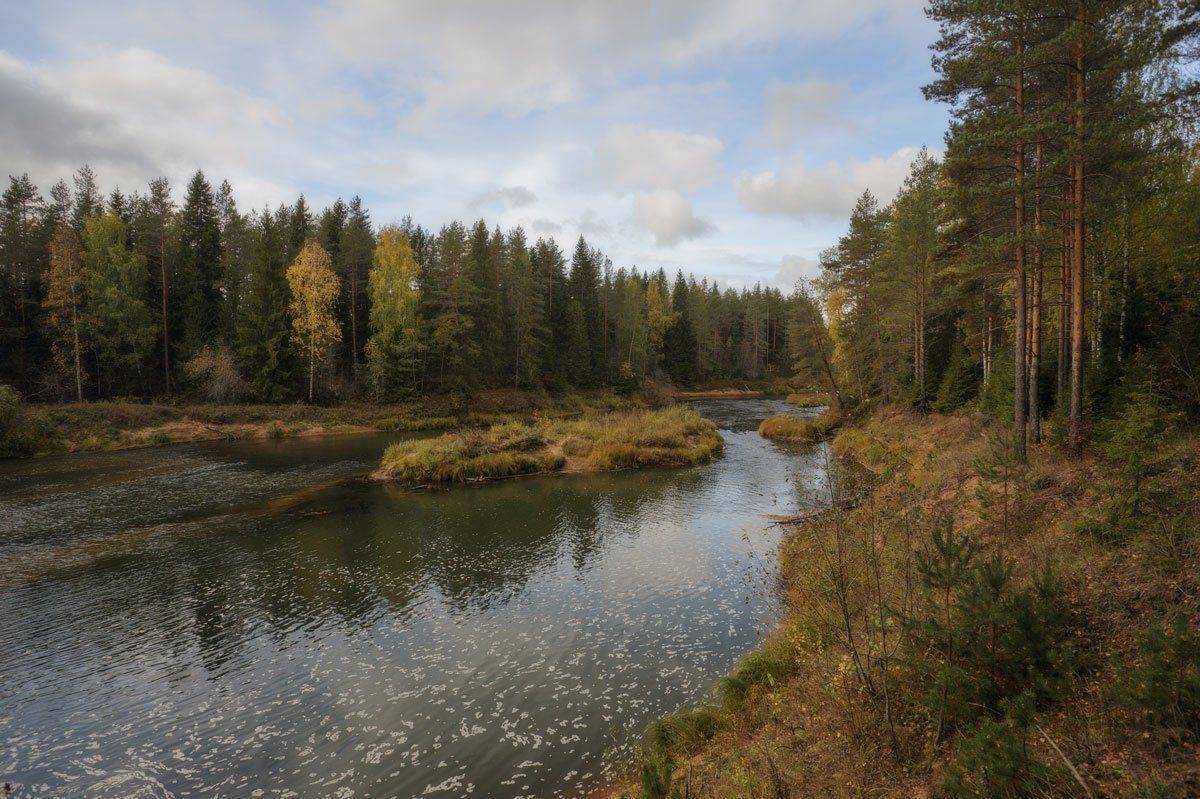 , Хохряков Николай