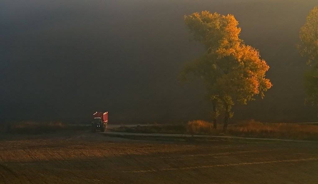 , Franti&scaron;ek Uhler