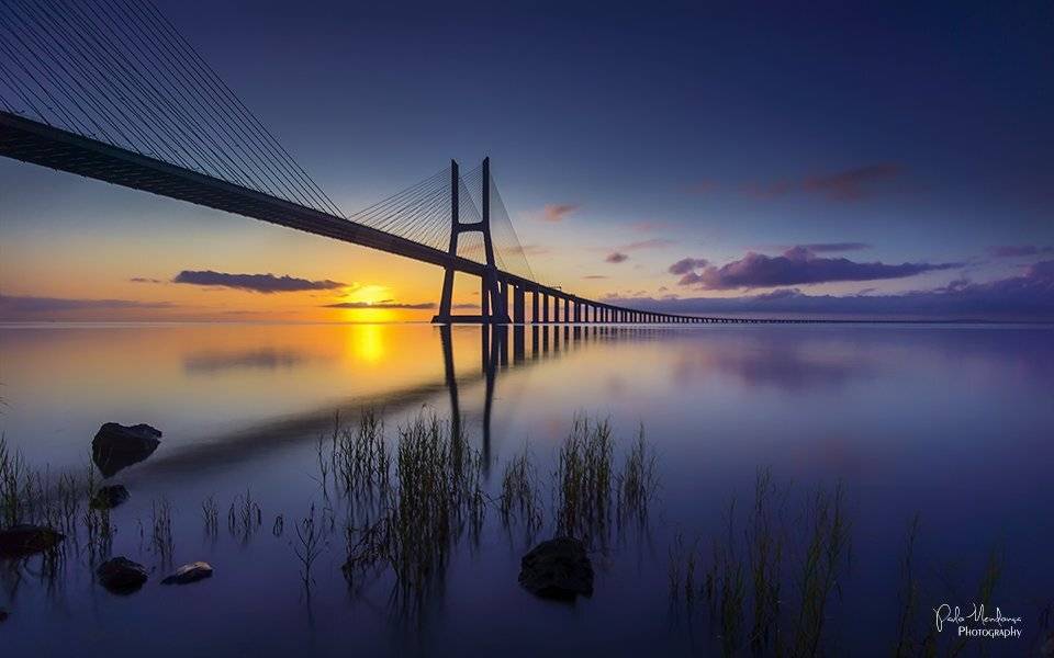 , Paulo Mendon&ccedil;a