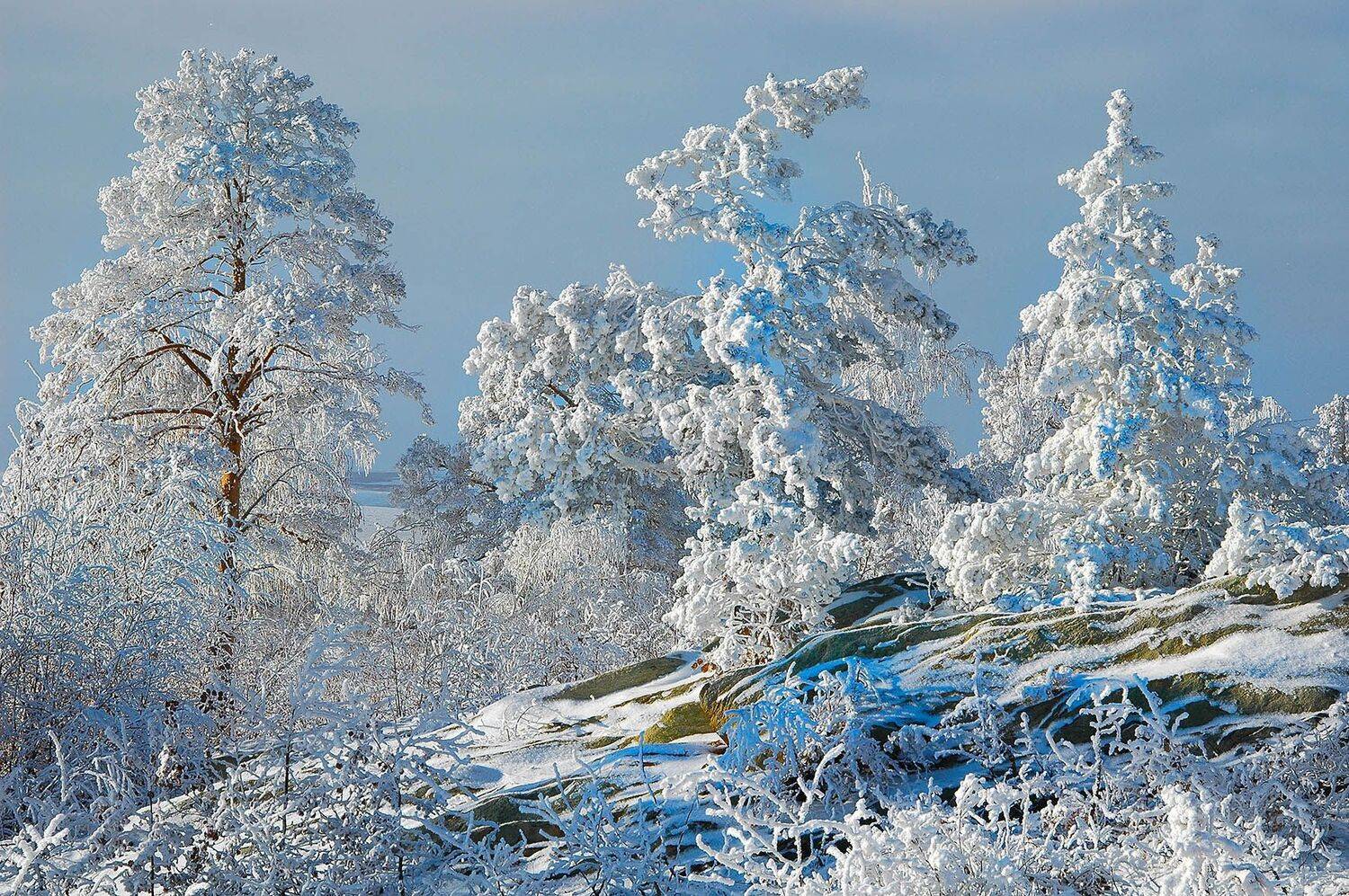 , Орлов Михаил