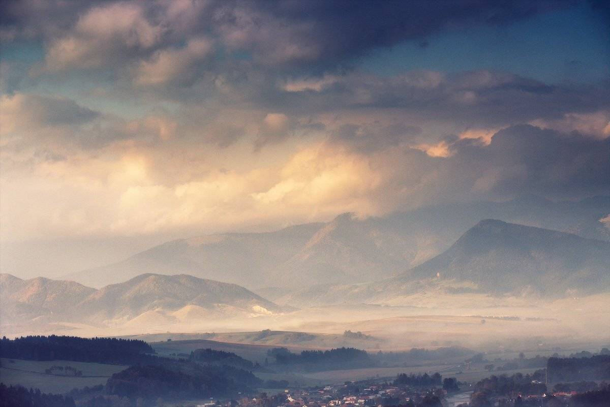 , Вейзе Максим