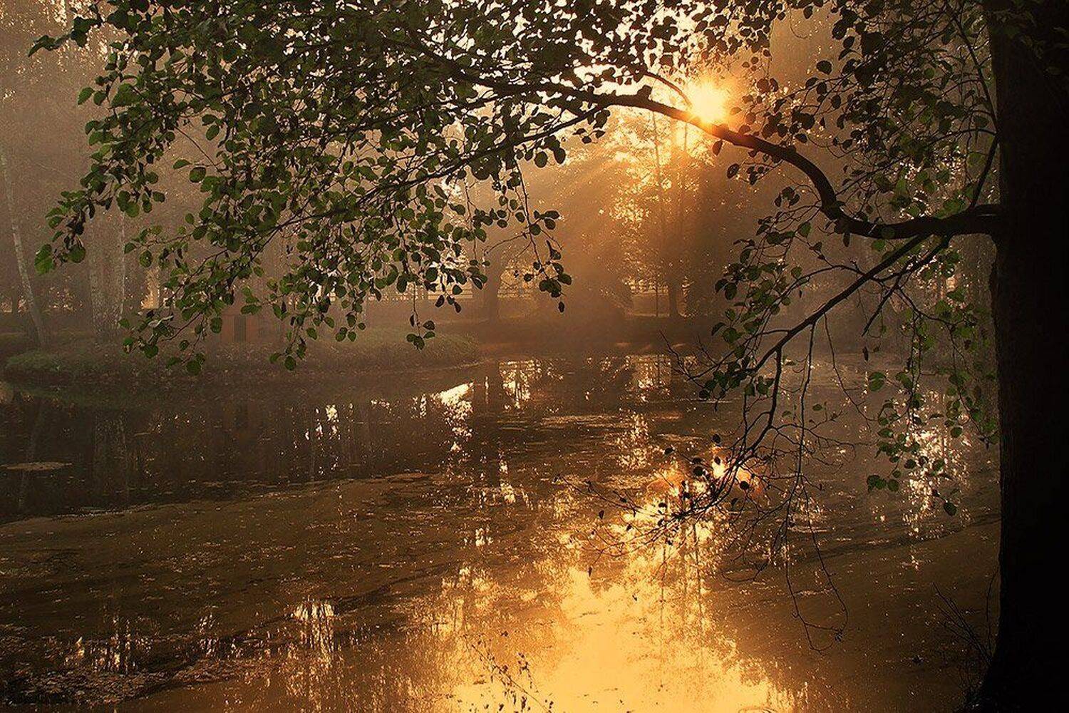 , Pawel Plucinski