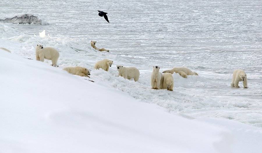 , Максим Деминов