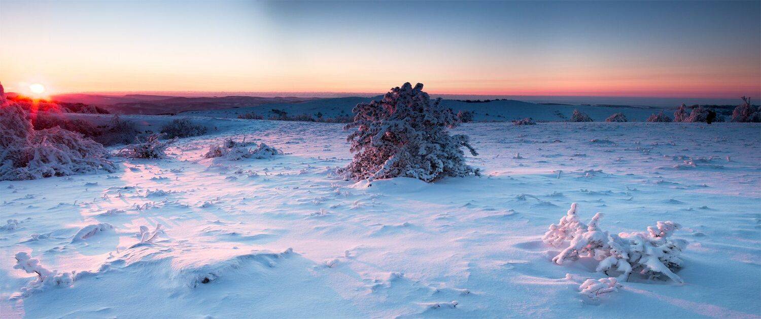 , Станислав Савицкий