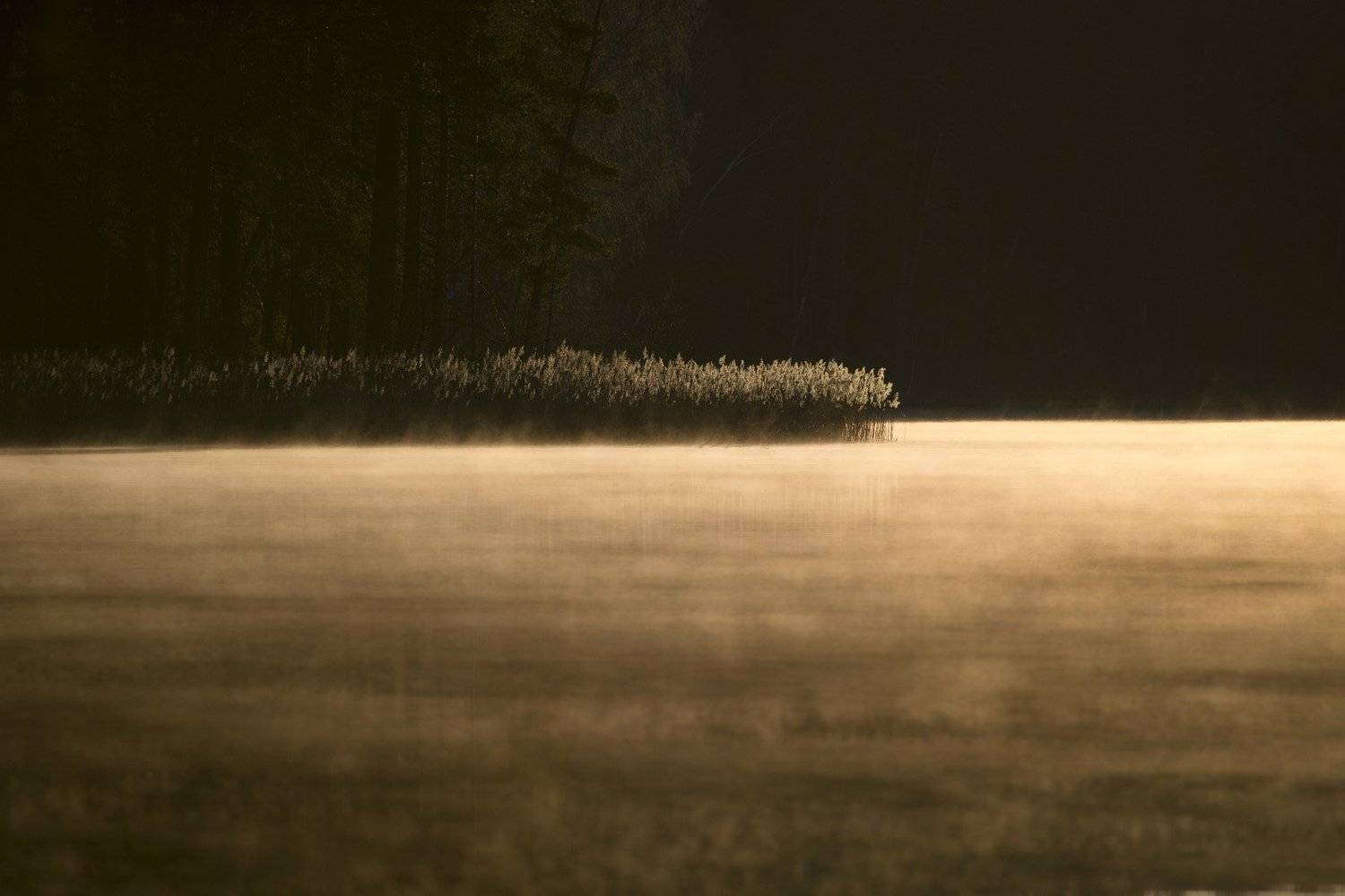 , Rimantas Bikulcius