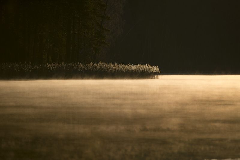 Таинственное утро фото превью