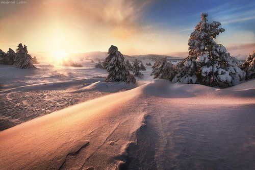 Light and Magic