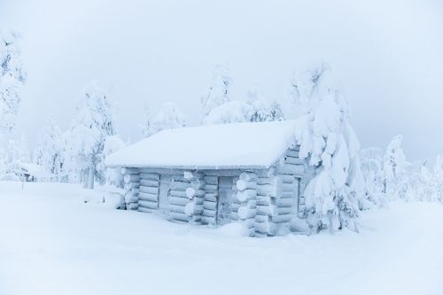 Среда обитания