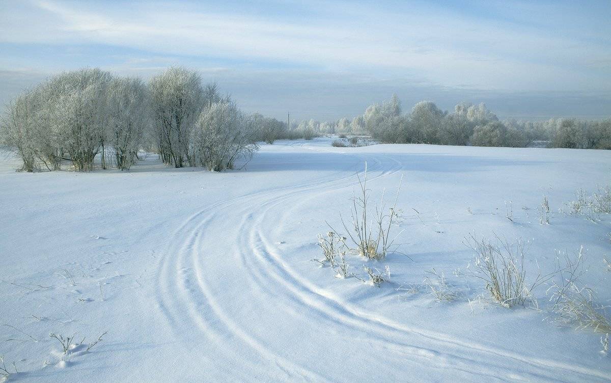 , Николай Морский