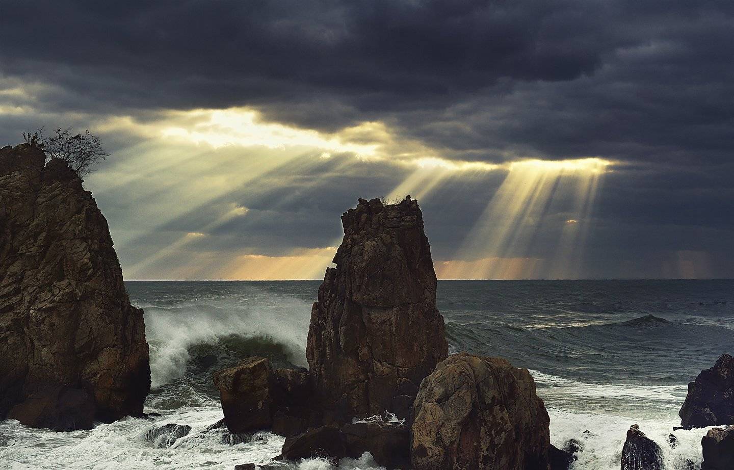 The breath of the sea. Автор: KIM SUK EUN , KIM SUK EUN