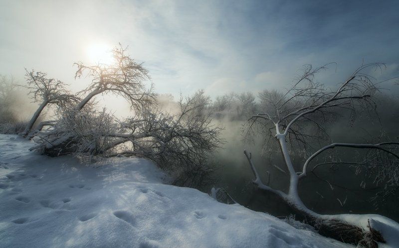 Январское утро фото превью
