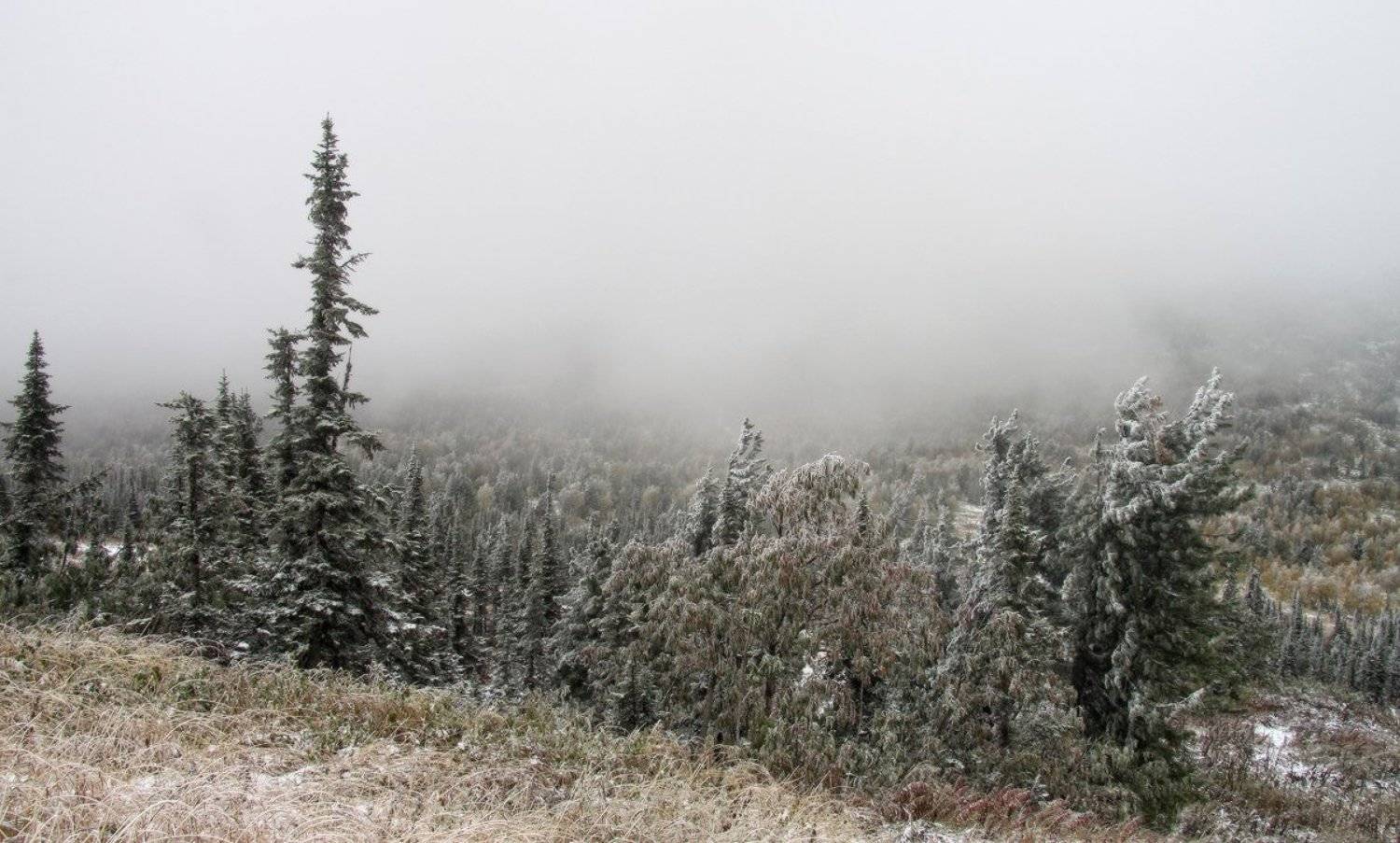 горная шория, шерегеш, снег, метель, Галина Хвостенко