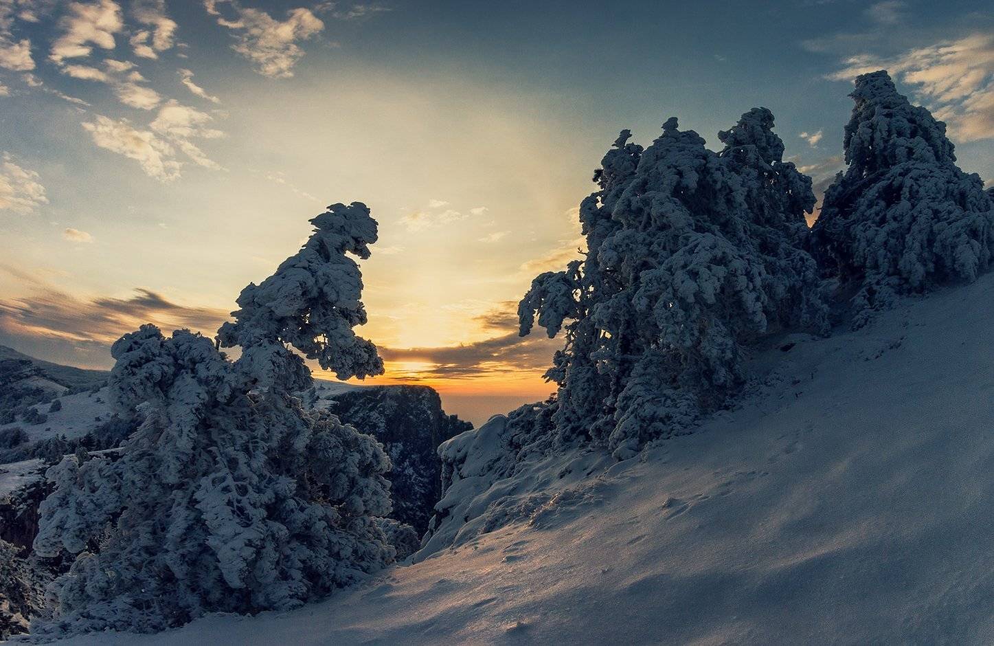 , Игорь Мелекесцев