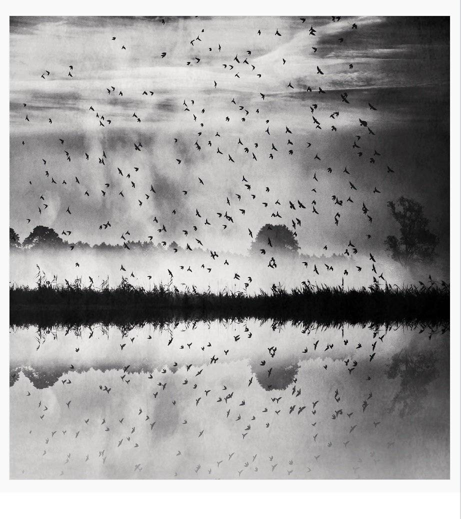 , Krzysztof Trojanowski