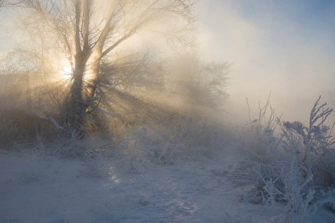 , Руслан Сигушин