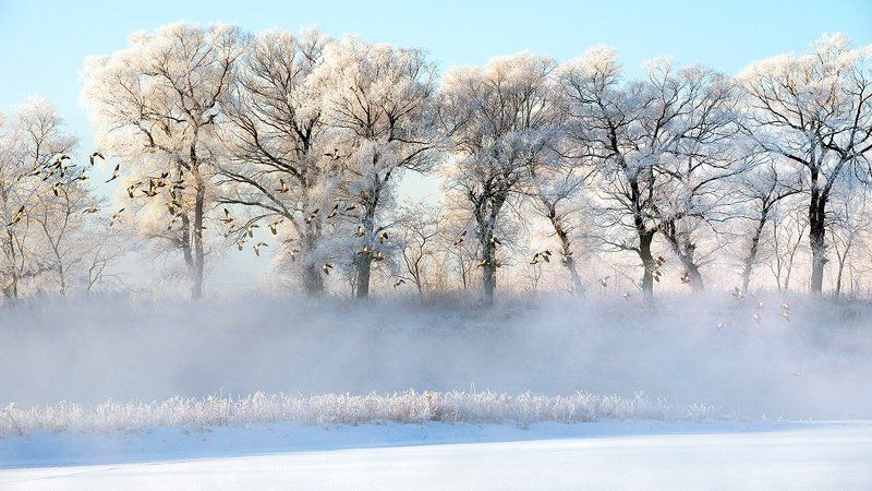 我的四季风光 фото превью