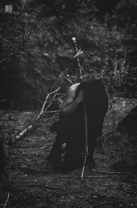 жрец 33 шага к Безумию фото превью