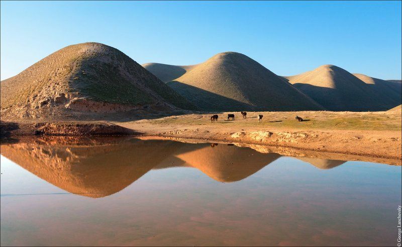 Азия, Таджикистан, Горы У Водопоя фото превью