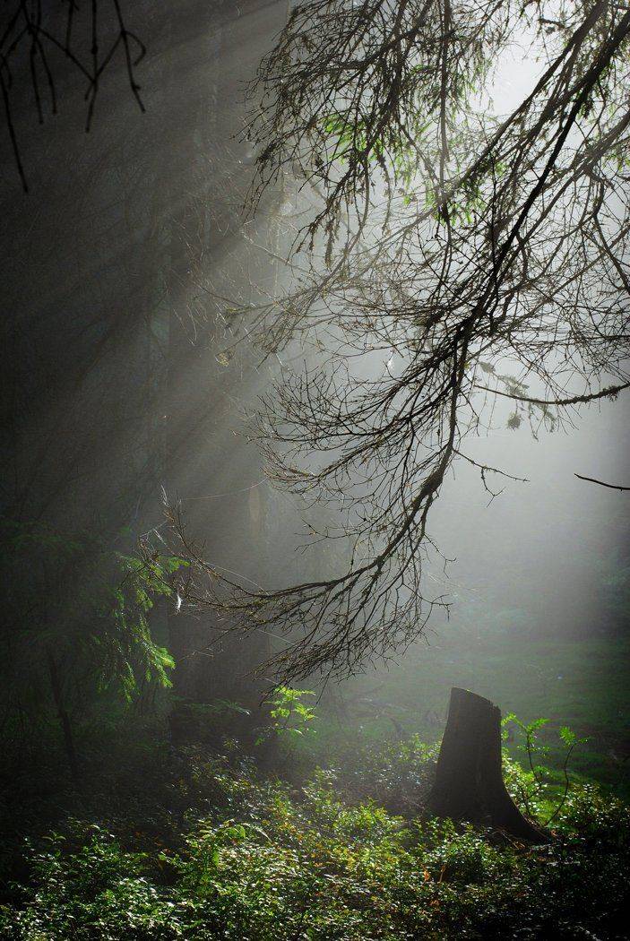 , Соболь Игорь