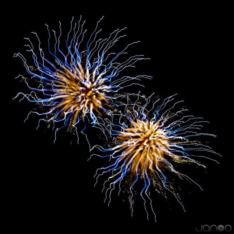 Abstract, Colors, Fireworks, Night boom фото превью