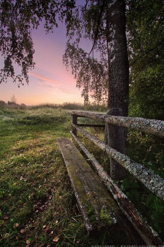 , Алексей Лобанов