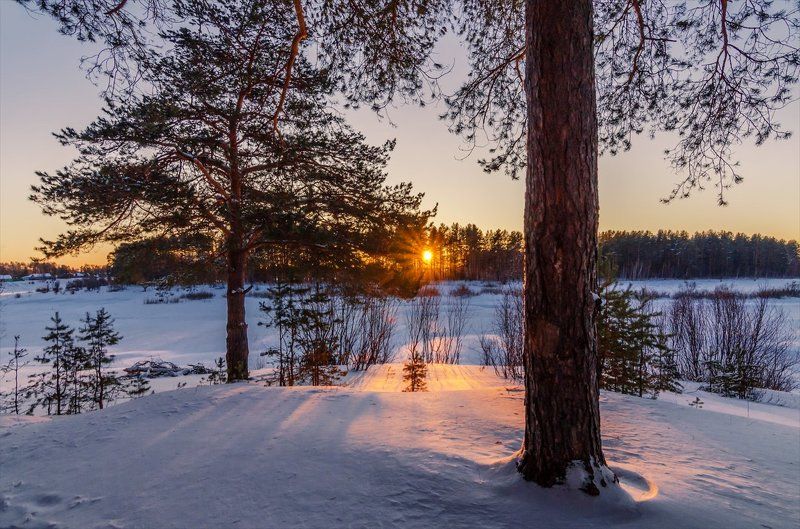 Деревья, Закат, Зима, Нижегородская область, Пейзаж, Природа, Река Края родные фото превью