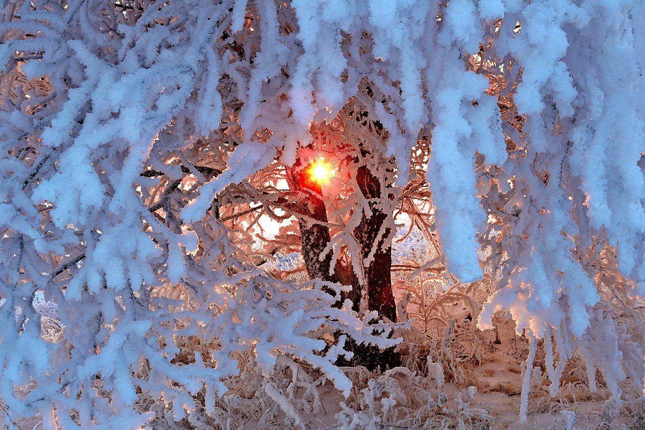 , Качурин Алексей