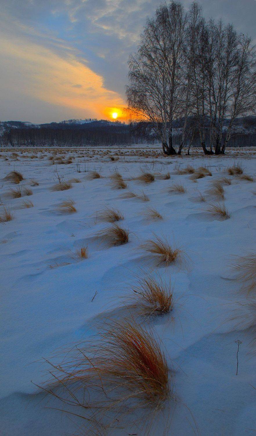 , Орлов Михаил