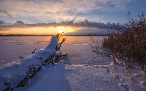 Навстречу солнцу