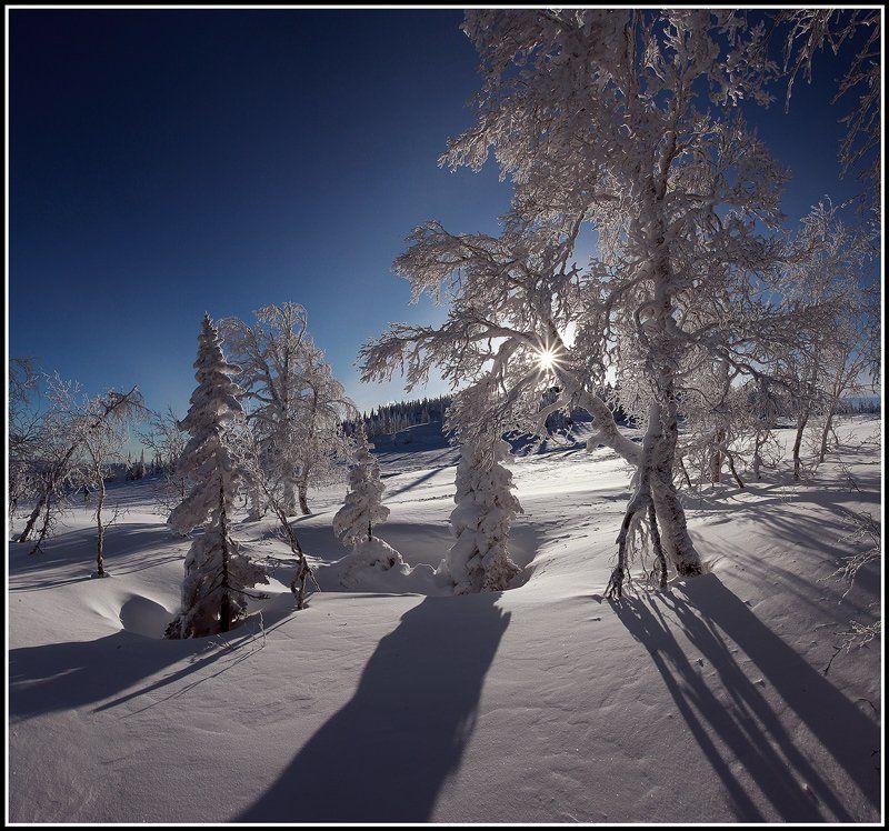 Солнечная ... фото превью