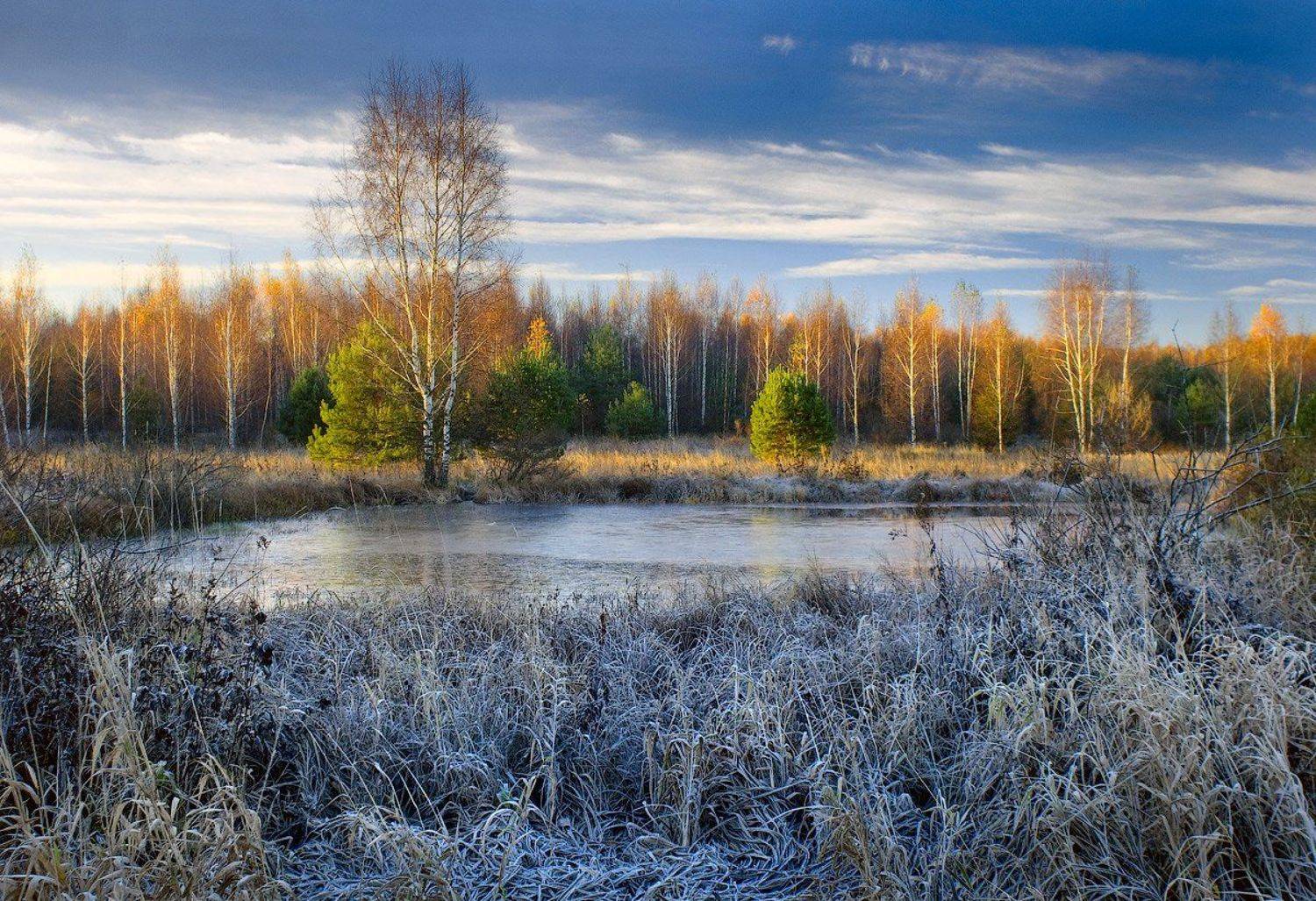 , Дмитрий Алексеев